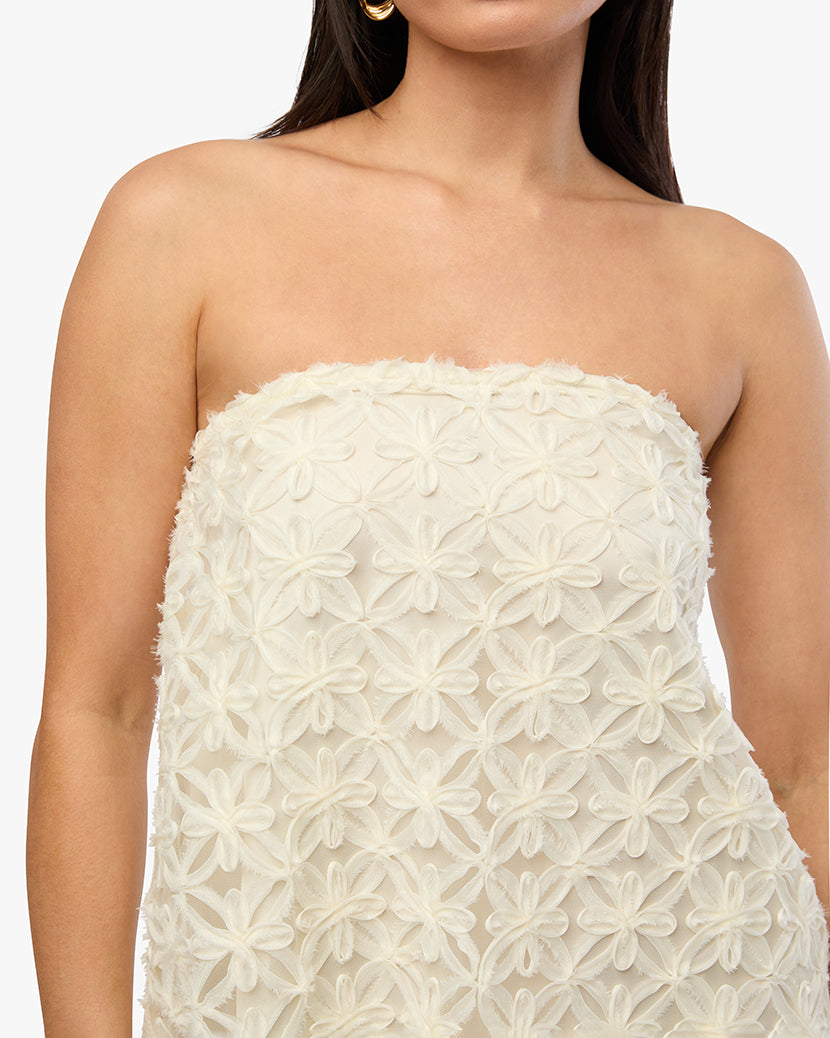 A-line Lace Mini Dress