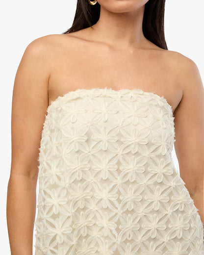 A-line Lace Mini Dress